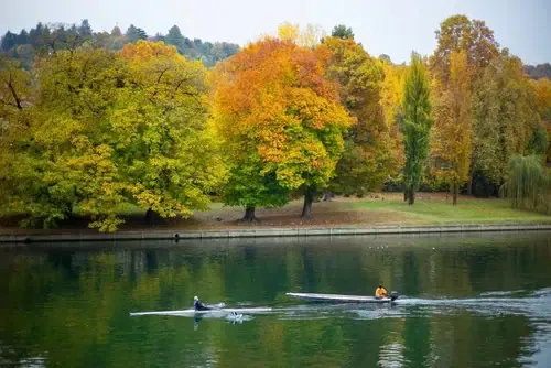 Autumn trees in the Parco del Valentino on the banks of the Po, rowers on the river