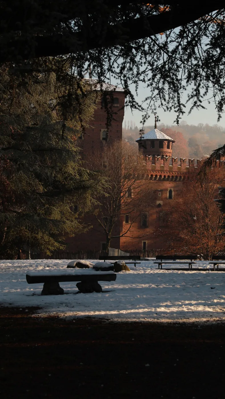 Parco del Valentino in winter