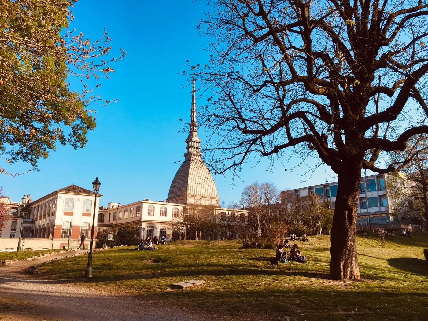 Park in Turin with a view of the Mole Antonelliana on a sunny day