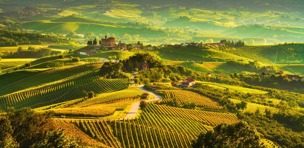 Sonnenuntergang in den Langhe Weinberge, Piemont, Italien