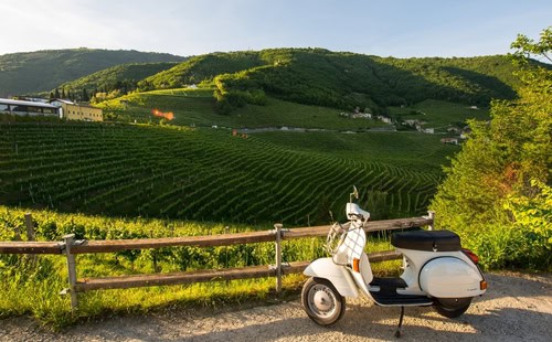 Vespa vor einer Landschaft mit Weinbergen in Italien